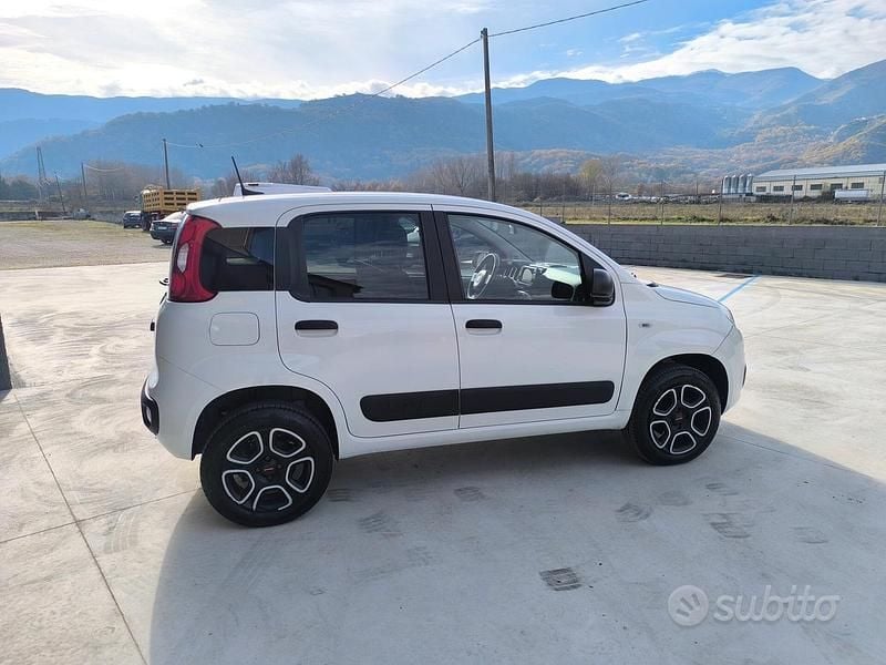 Usata Fiat Panda 4x4 Pop 85 CV (62 kW) 2021 Bianco Utilitaria