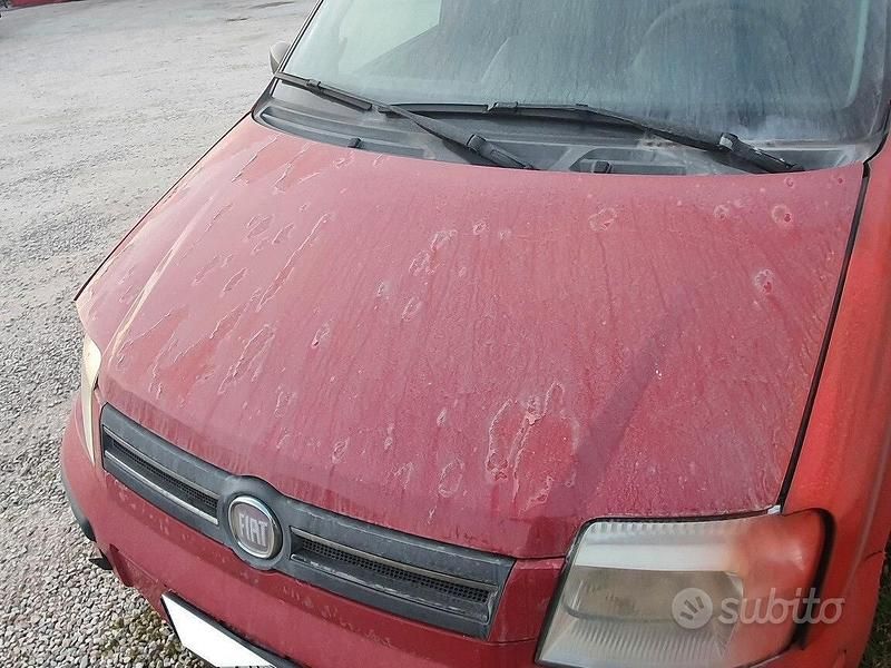 Usata Fiat Panda Dynamic 60 CV (44 kW) 2009 Rosso Berlina