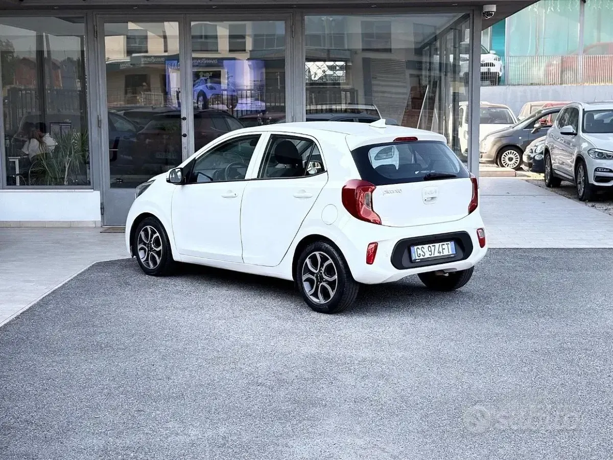 Usata Kia Picanto 65 CV (47 kW) 2023 Bianco Utilitaria