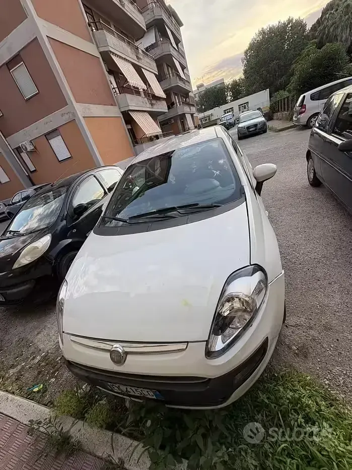 Usata Fiat Punto 75 CV (55 kW) 2013 Bianco Utilitaria