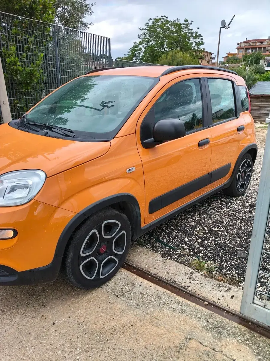 Usata Fiat Panda Cross Cross 70 CV (51 kW) 2021 Arancione Utilitaria