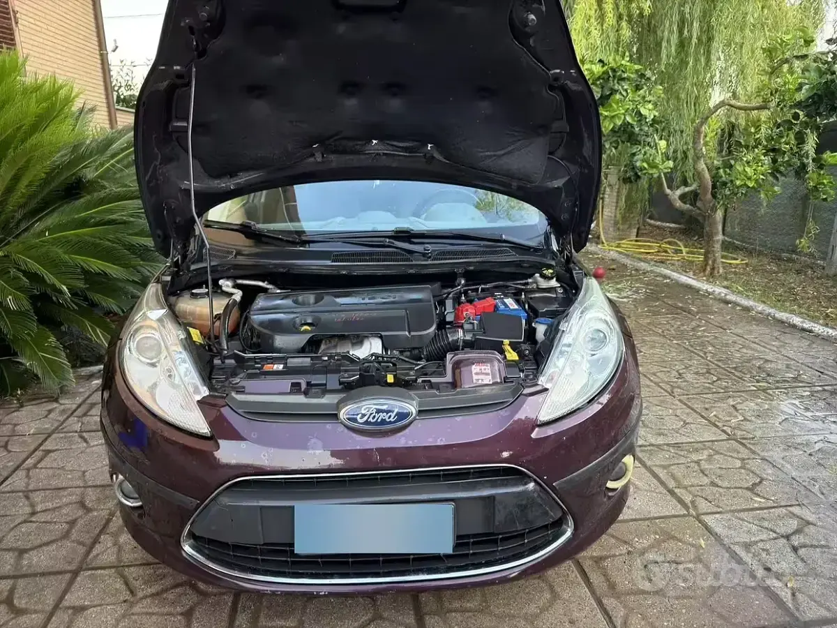 Usata Ford Fiesta 70 CV (51 kW) 2010 Marrone Berlina