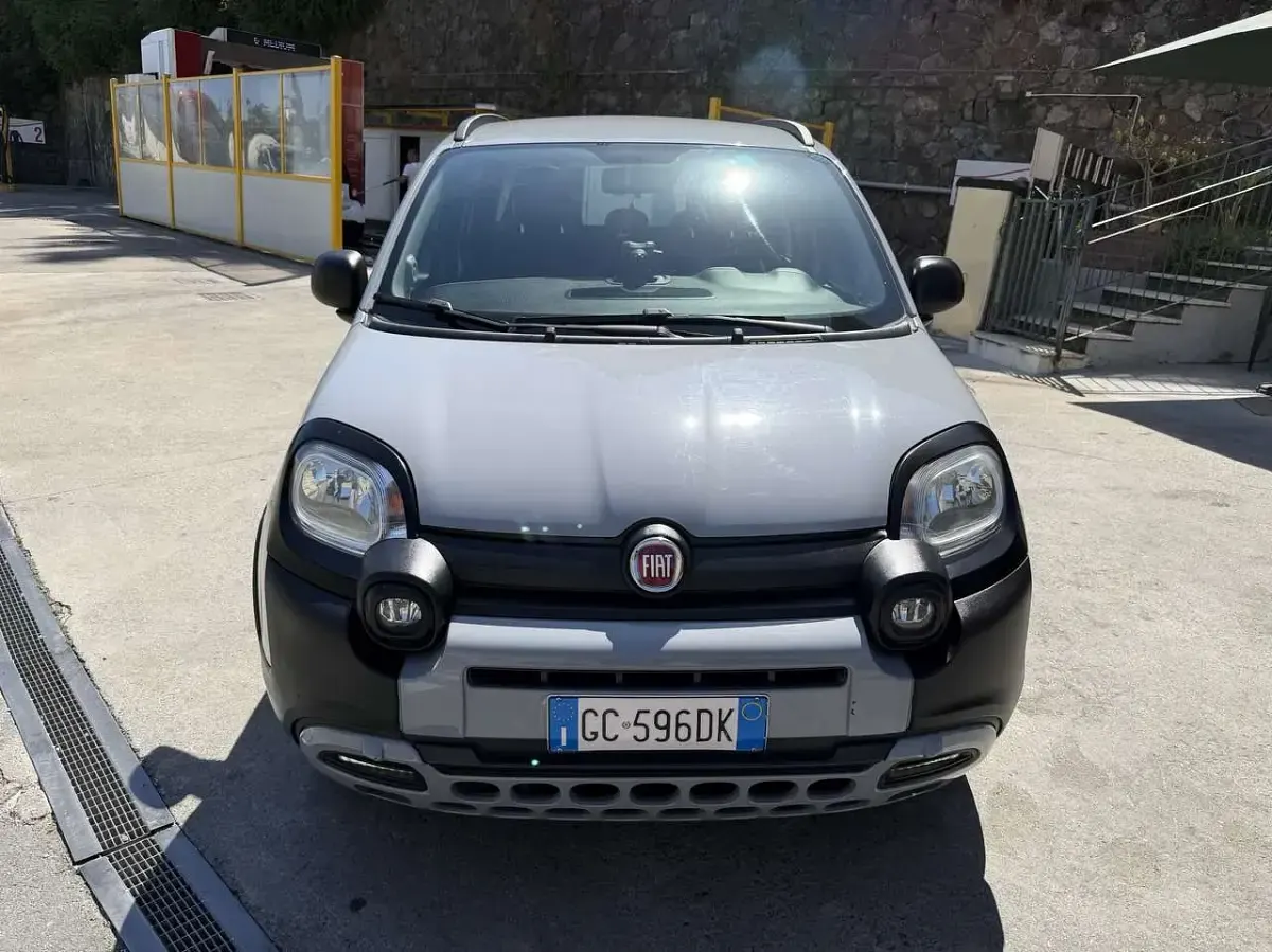 Usata Fiat Panda Cross Cross 69 CV (50 kW) 2020 Grigio Utilitaria