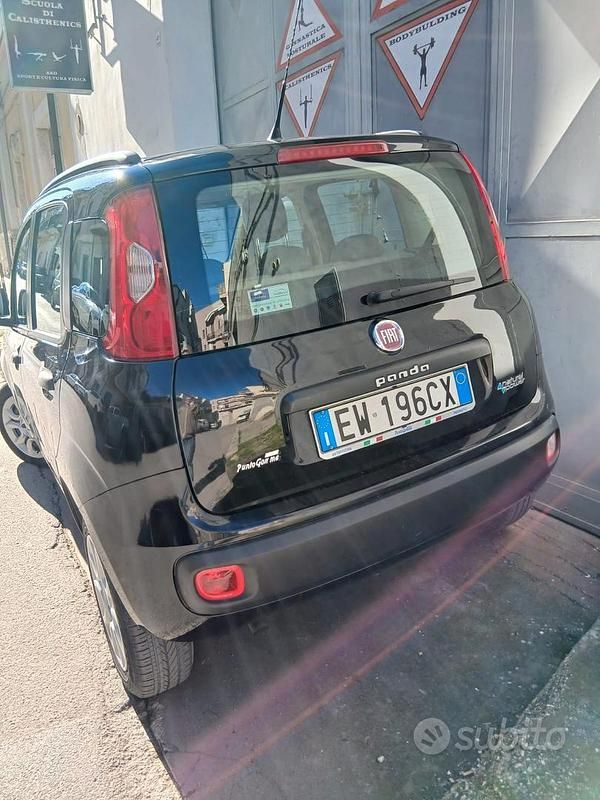 Usata Fiat Panda Easy 80 CV (58 kW) 2013 Beige Utilitaria