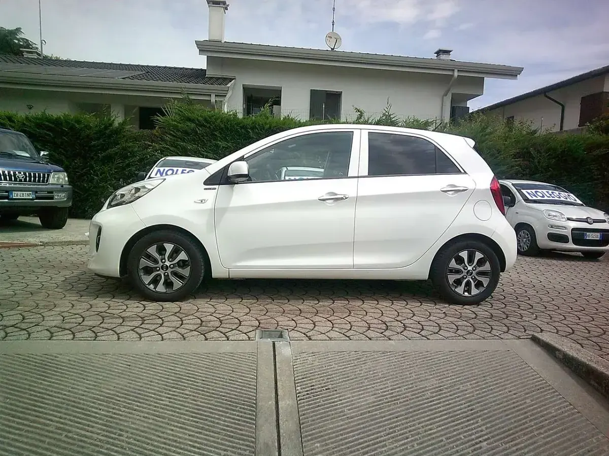 Usata Kia Picanto 69 CV (50 kW) 2015 Bianco Utilitaria