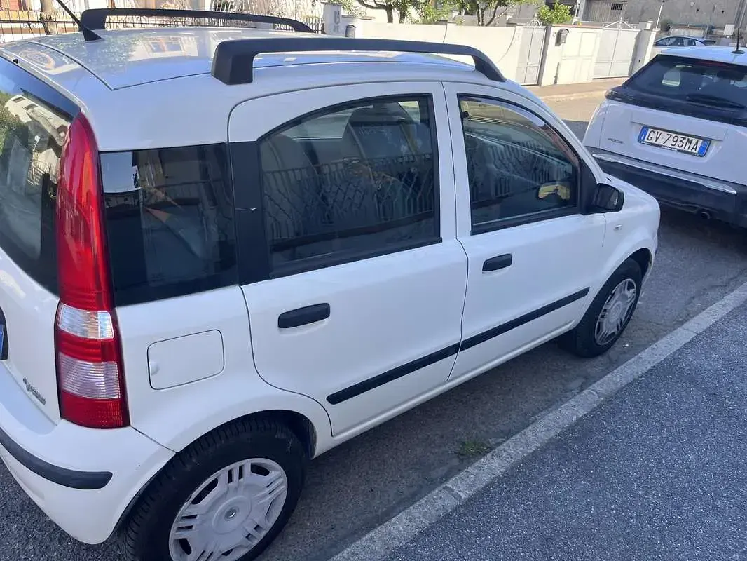 Usata Fiat Panda Dynamic 77 CV (56 kW) 2009 Bianco Utilitaria