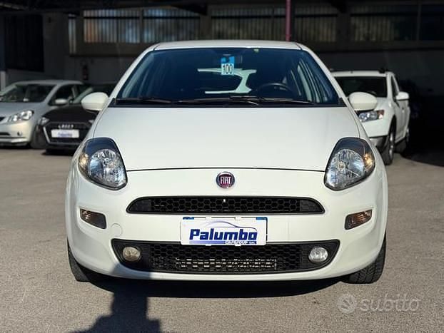 Usata Fiat Punto Lounge 75 CV (55 kW) 2014 Bianco Utilitaria