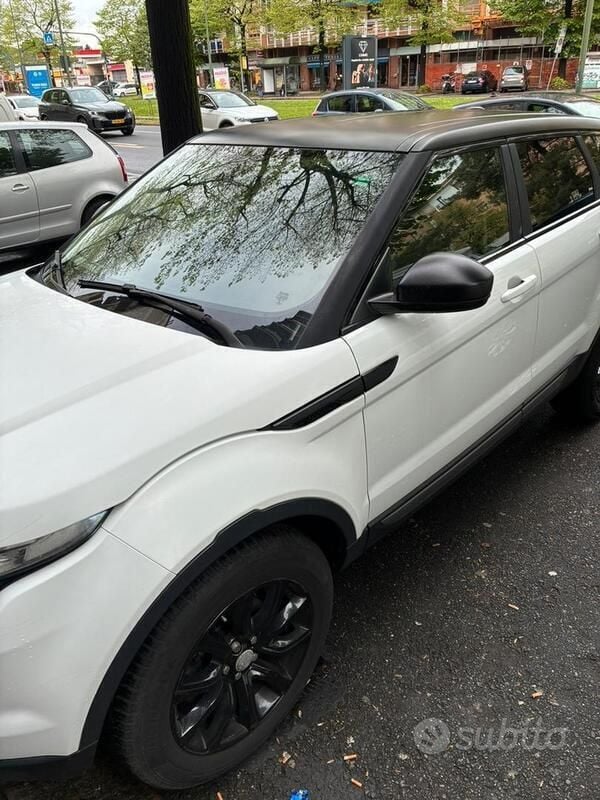Usata Land Rover Range Rover evoque 190 CV (139 kW) 2015 Bianco SUV