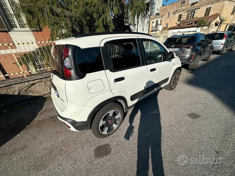 Usata Fiat Panda Cross Cross 2024 Bianco Utilitaria