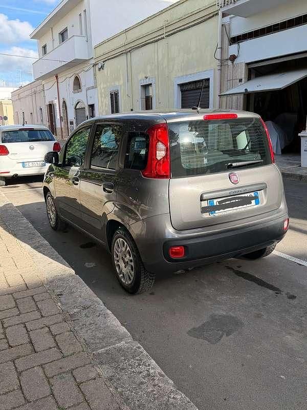 Usata Fiat Panda Easy 69 CV (50 kW) 2020 Grigio Utilitaria