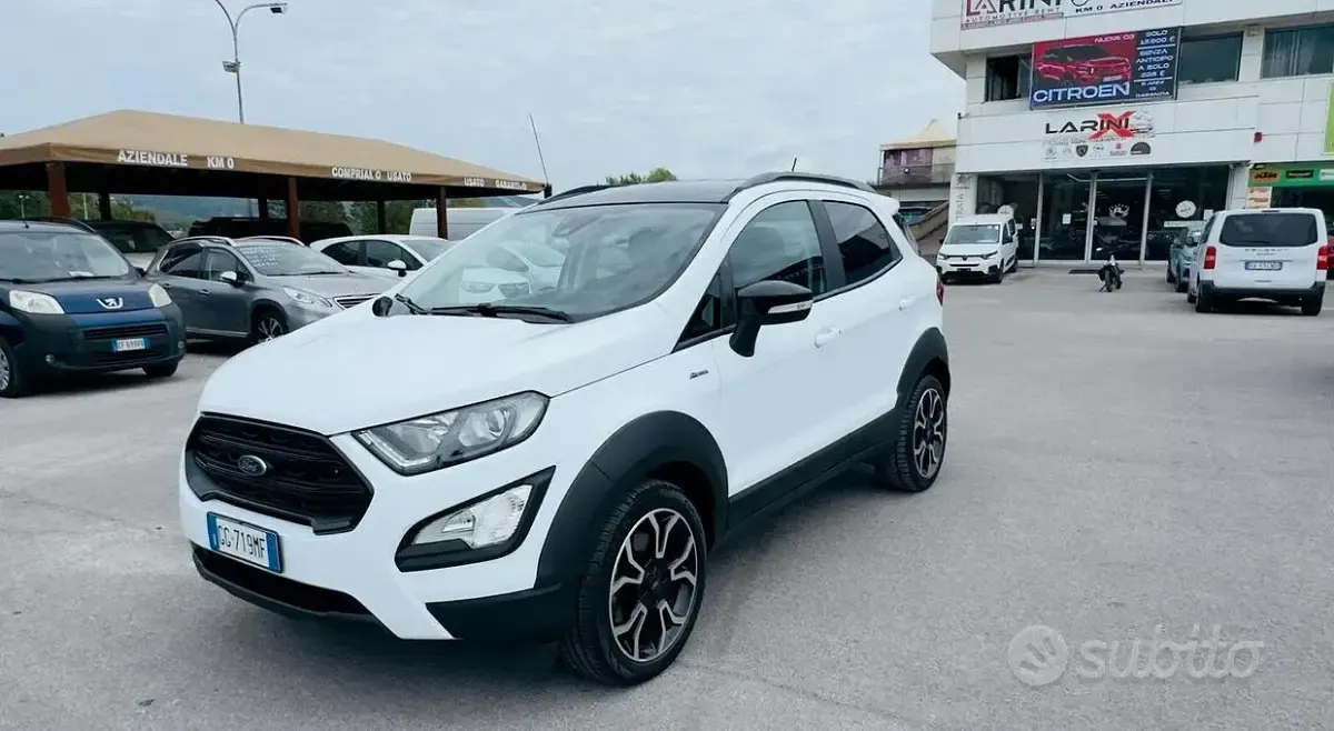 Occasion Ford Ecosport Active 125 PK (91 kW) 2022 Wit SUV