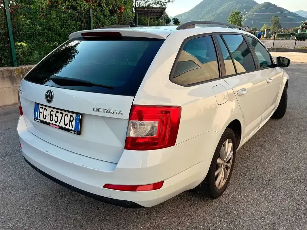 Usata Skoda Octavia Ambition 110 CV (80 kW) 2016 Bianco Station wagon