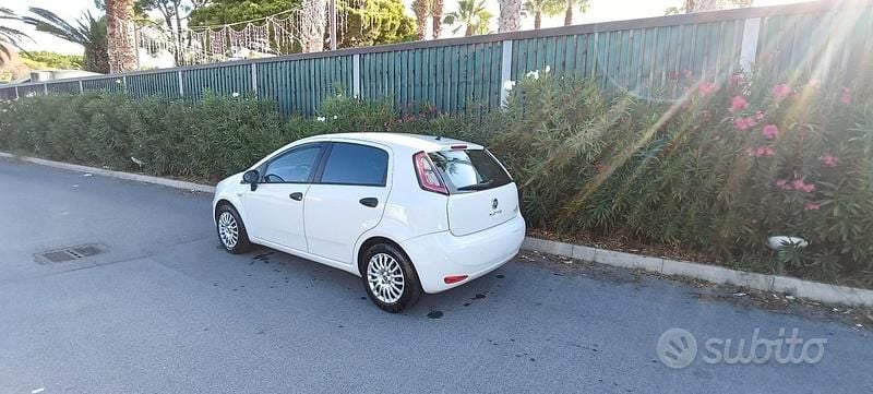 Usata Fiat Punto 75 CV (55 kW) 2014 Bianco Utilitaria