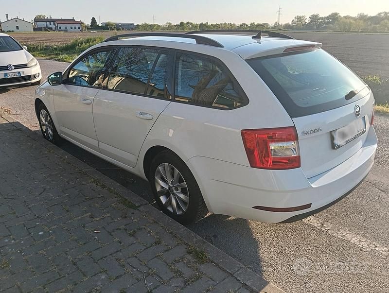 Usata Skoda Octavia 116 CV (85 kW) 2020 Bianco Station wagon
