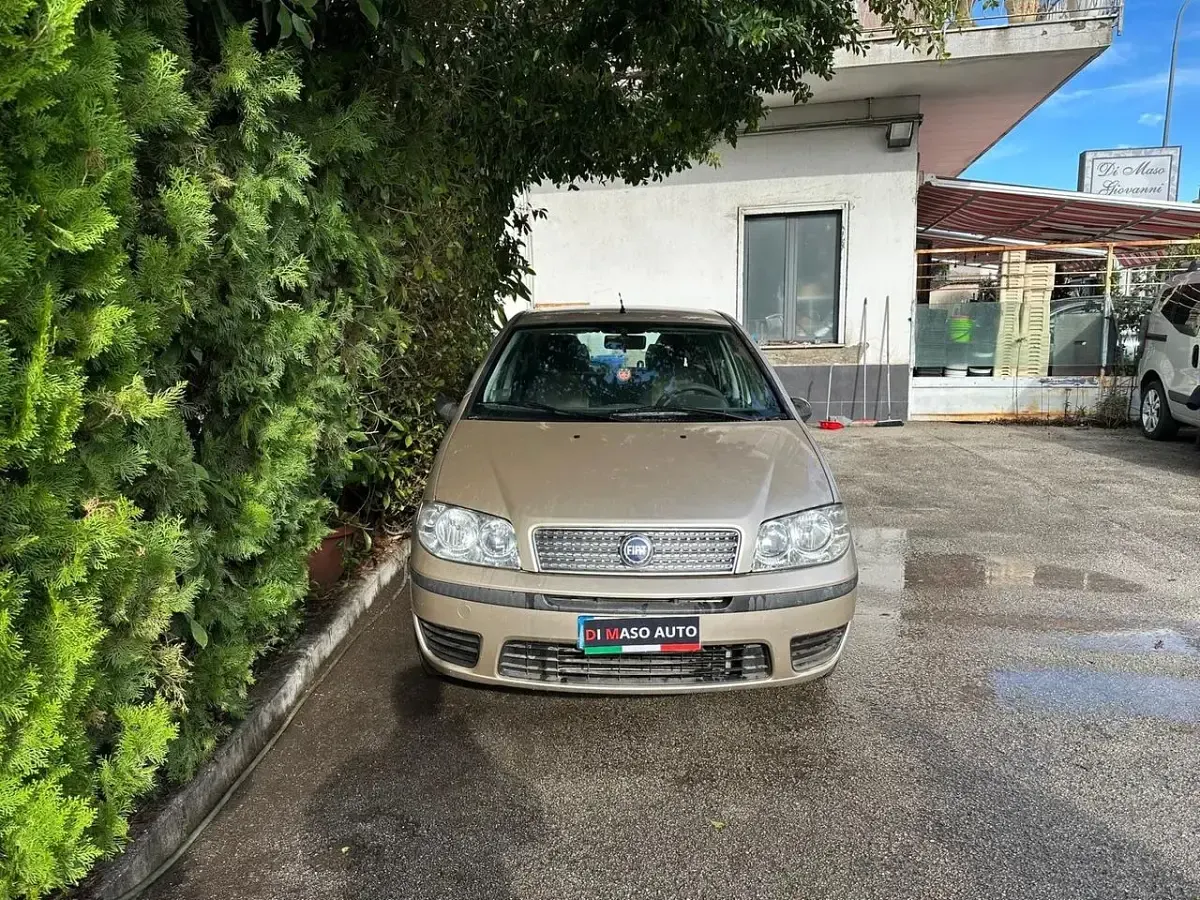 Usata Fiat Punto Active 60 CV (44 kW) 2009 Utilitaria