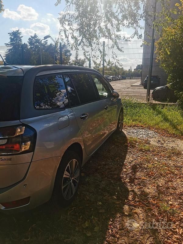 Usata Citroën C4 Picasso Intensive 120 CV (88 kW) 2015 Grigio Monovolume