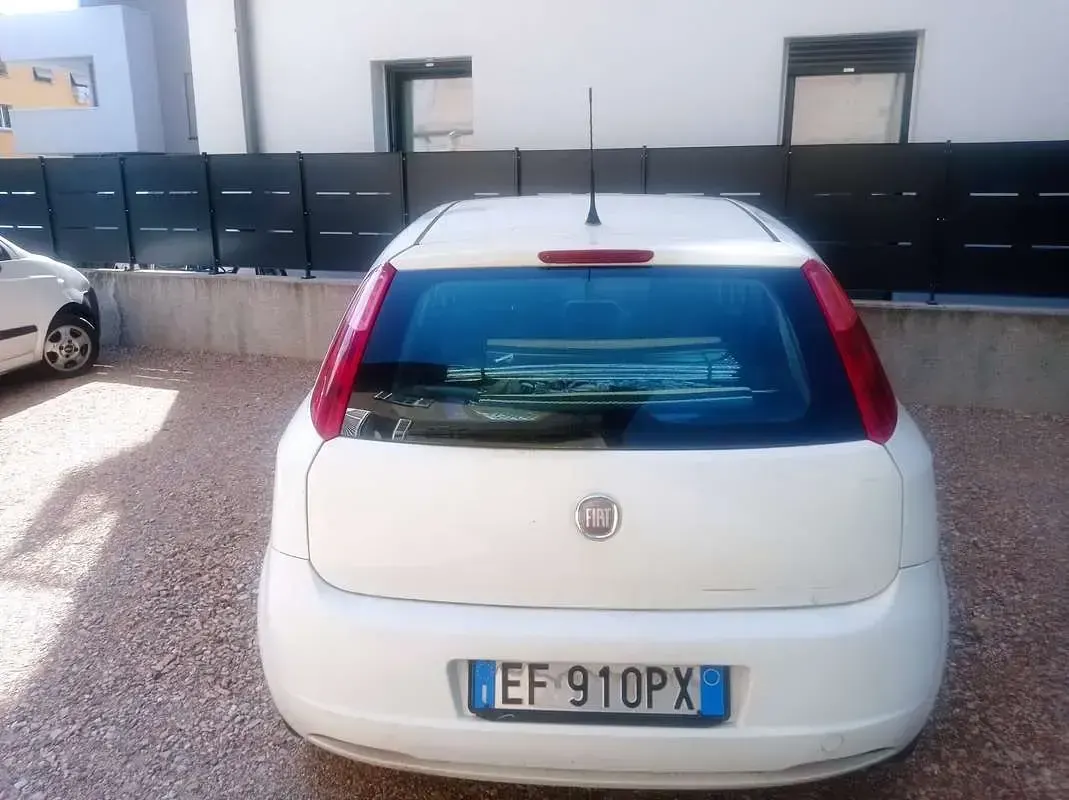 Usata Fiat Punto 80 CV (58 kW) 2010 Utilitaria