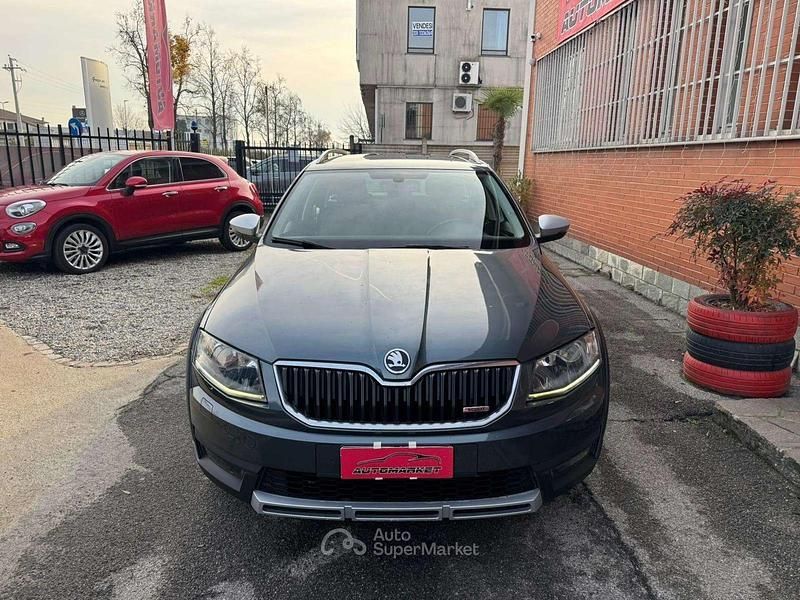 Usata Skoda Octavia Scout 4x4 184 CV (135 kW) 2016 Grigio Station wagon