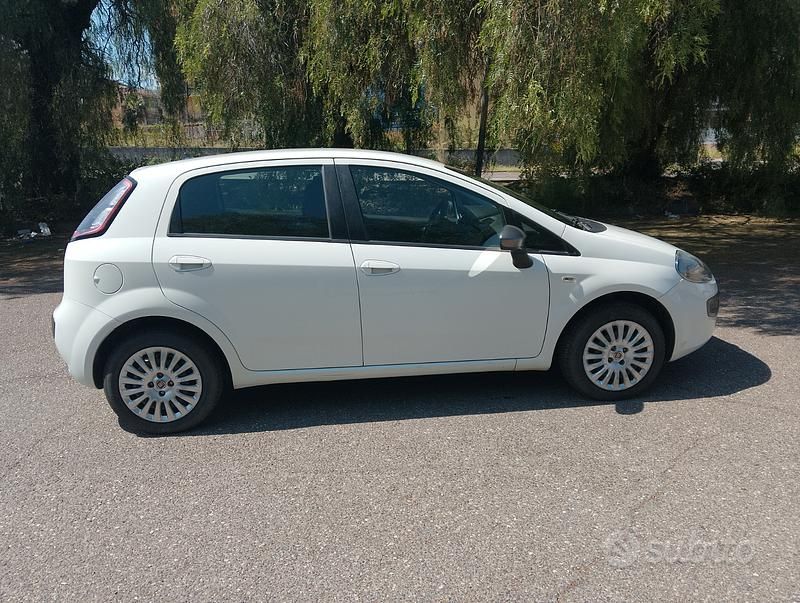 Usata Fiat Punto Evo 65 CV (47 kW) 2016 Bianco Utilitaria