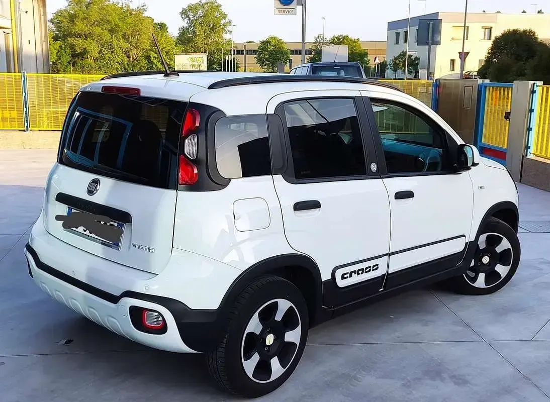 Usata Fiat Panda Launch Edition 69 CV (50 kW) 2020 Utilitaria