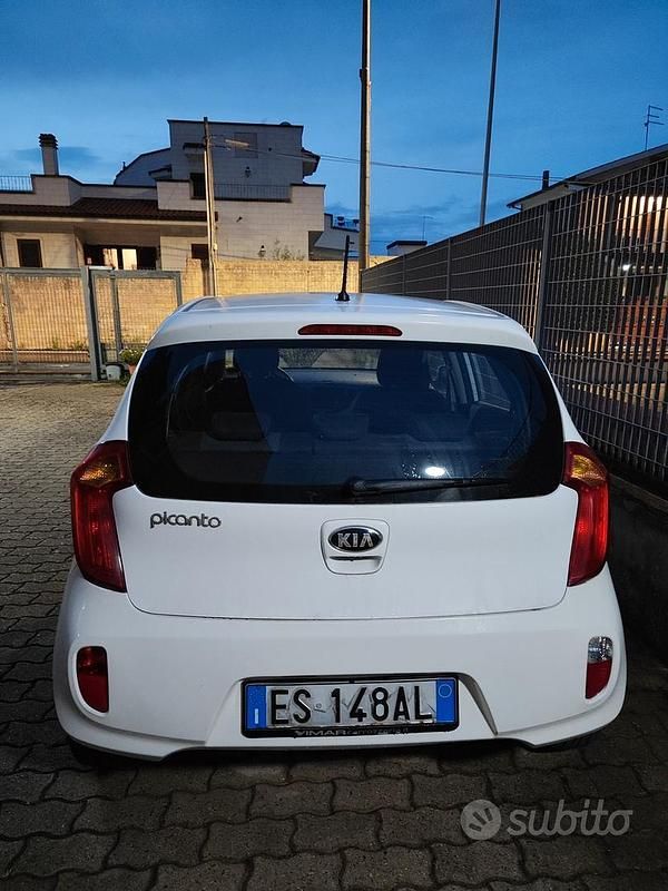 Usata Kia Picanto 2013 Bianco Utilitaria