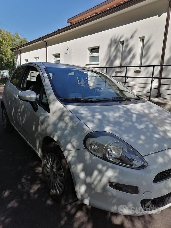 Usata Fiat Punto Evo 75 CV (55 kW) 2013 Bianco Utilitaria