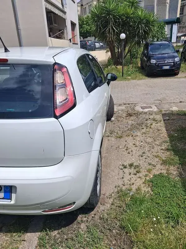 Usata Fiat Punto Lounge 77 CV (56 kW) 2014 Utilitaria