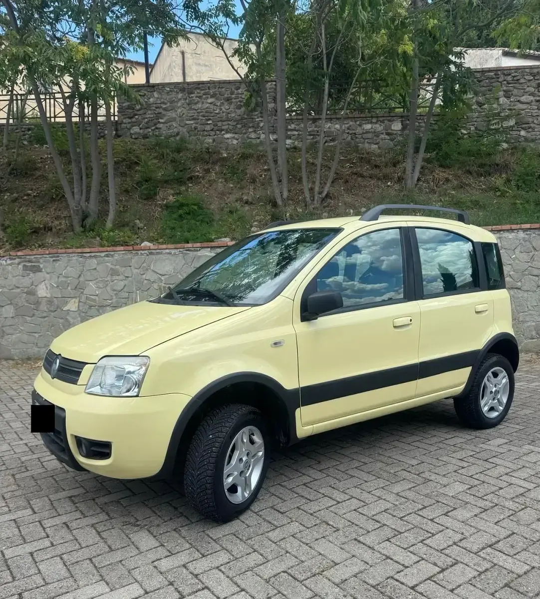 Usata Fiat Panda 4x4 Climbing 69 CV (50 kW) 2007 Giallo Utilitaria