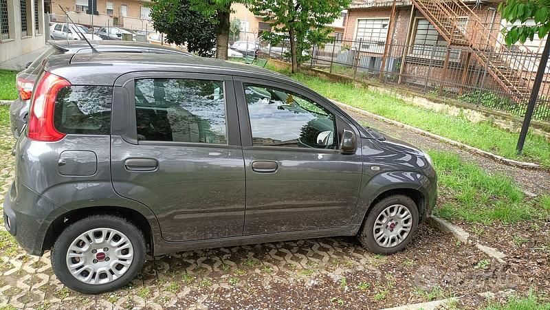 Usata Fiat Panda 69 CV (50 kW) 2017 Grigio Utilitaria