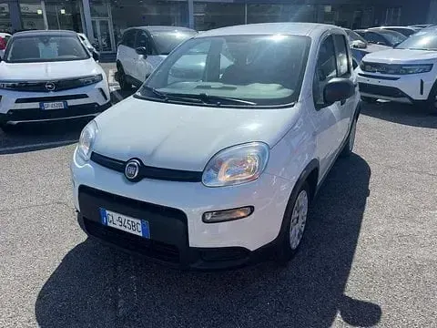 Usata Fiat Panda S 69 CV (50 kW) 2022 Utilitaria