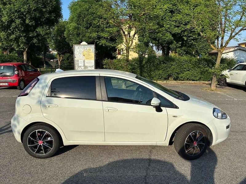 Usata Fiat Punto Lounge 77 CV (56 kW) 2014 Utilitaria