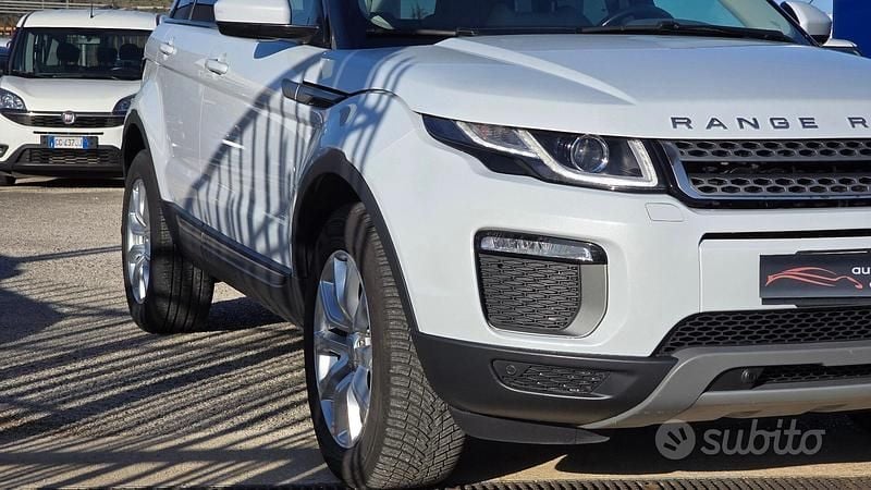Usata Land Rover Range Rover evoque HSE 150 CV (110 kW) 2016 Bianco SUV