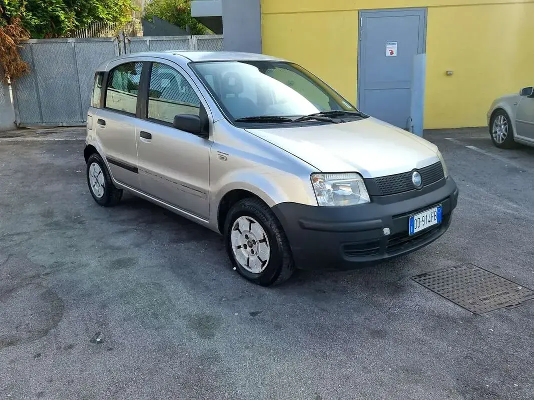 Usata Fiat Panda Active 54 CV (39 kW) 2007 Grigio Utilitaria