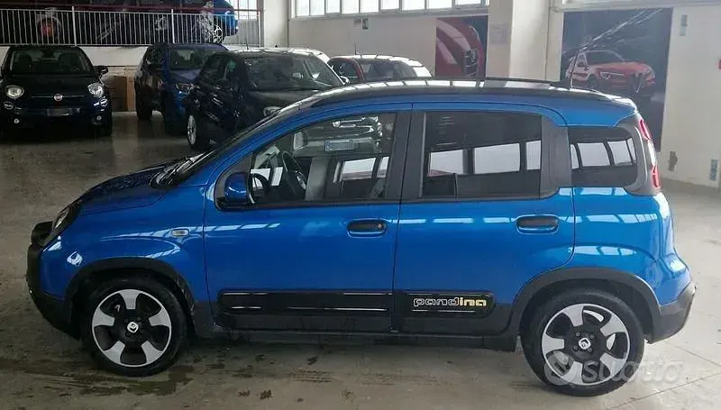 Usata Fiat Panda S 70 CV (51 kW) 2025 Bluazzurro Utilitaria