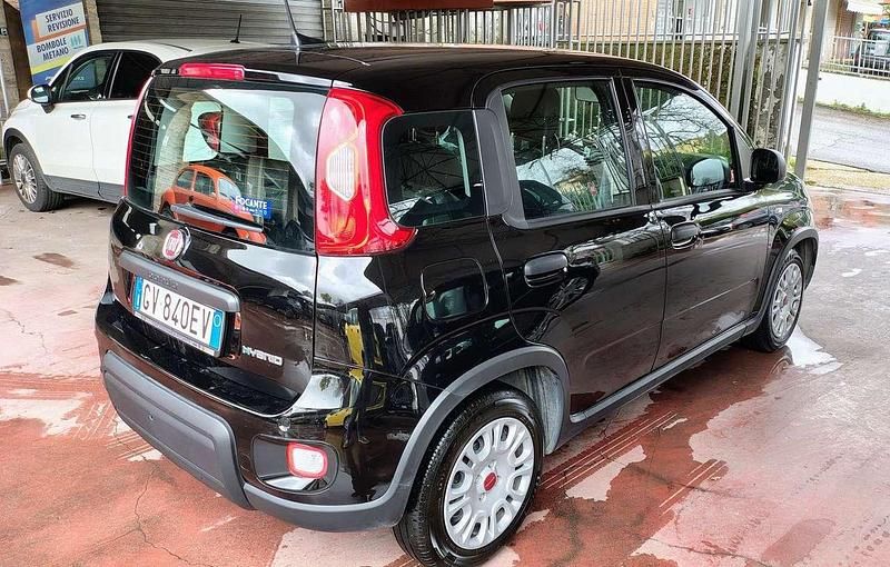 Usata Fiat Panda S 69 CV (50 kW) 2024 Nero Utilitaria