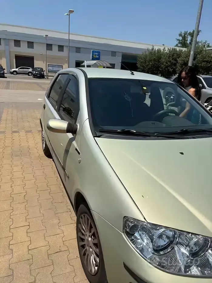 Usata Fiat Punto 69 CV (50 kW) 2005 Verde Utilitaria