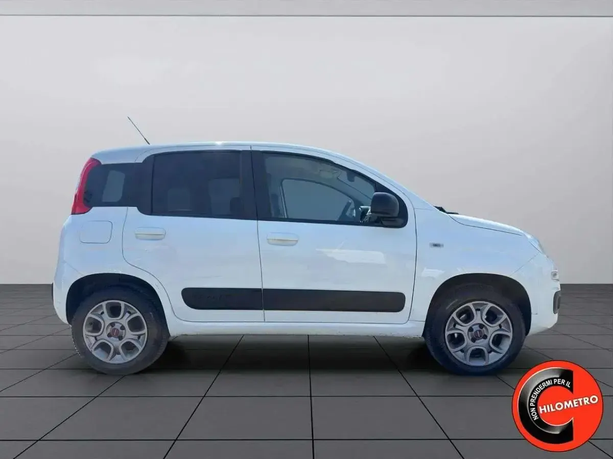 Usata Fiat Panda 4x4 80 CV (58 kW) 2016 Bianco Utilitaria