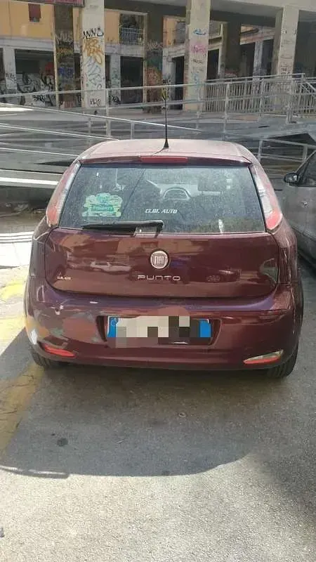 Usata Fiat Punto Evo 75 CV (55 kW) 2010 Utilitaria