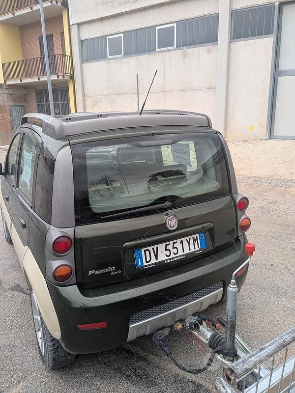 Usata Fiat Panda Cross 95 CV (69 kW) 2008 Verde Utilitaria