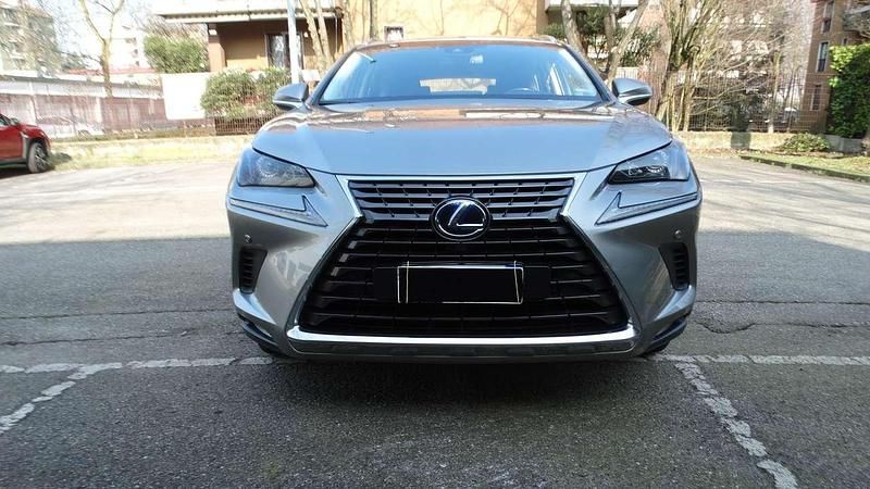 Usata Lexus NX300h Executive Line 155 CV (114 kW) 2018 Grigio SUV
