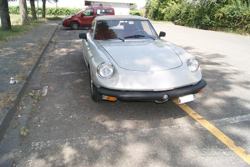 Usata Alfa Romeo Spider 1981 Grigio Cabrio