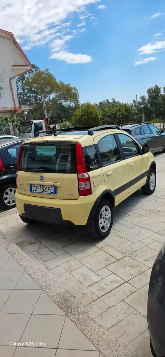 Usado Fiat Panda 4x4 Climbing 69 CV (50 kW) 2006 Amarillo Utilitario