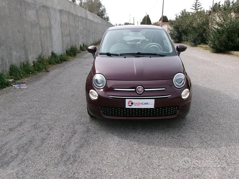 Usata Fiat 500 Lounge 69 CV (50 kW) 2019 Viola Berlina
