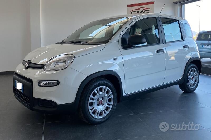 Usata Fiat Panda S 70 CV (51 kW) 2023 Bianco Utilitaria
