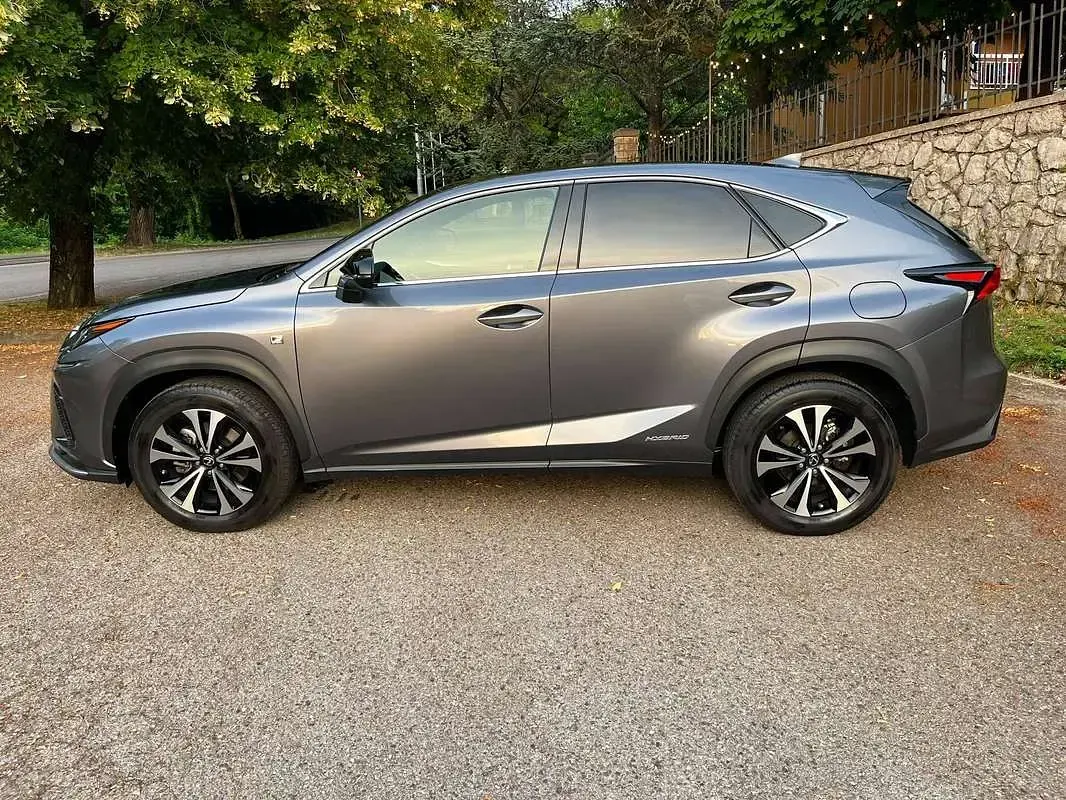 Usata Lexus NX300h Sport Line 155 CV (114 kW) 2019 Grigio SUV