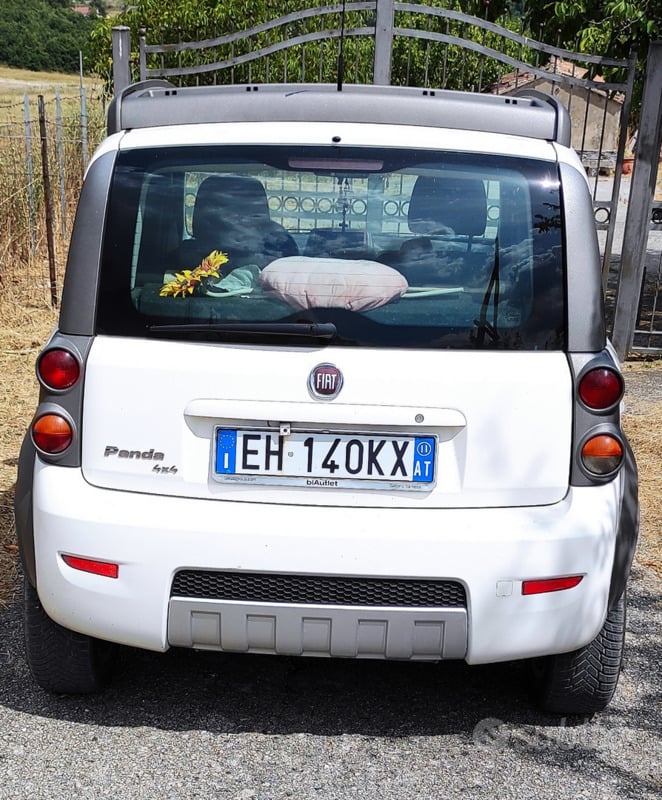 Usato 2011 Fiat Panda Cross Diesel (10.700 €)