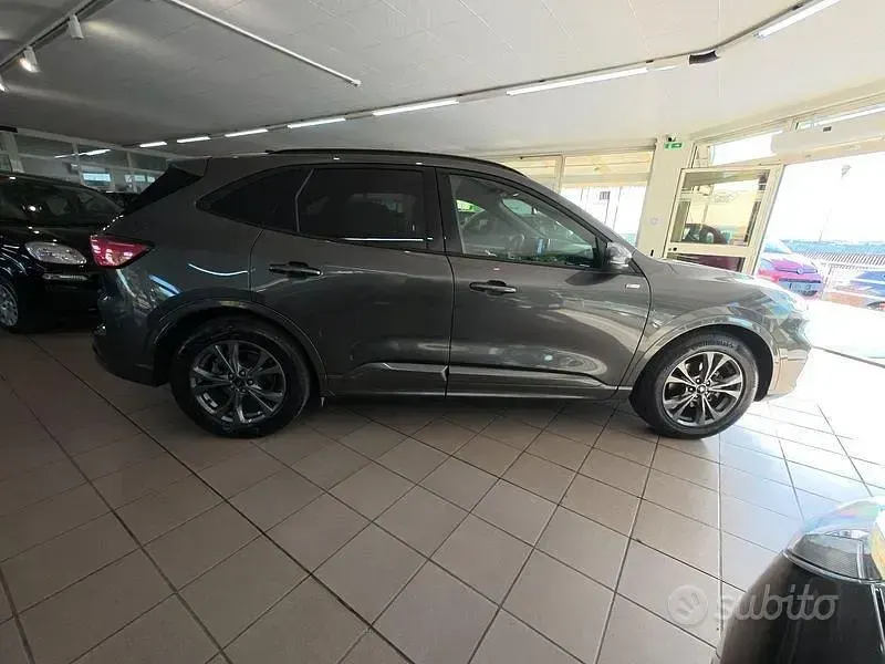 Usata Ford Kuga ST-Line 190 CV (139 kW) 2023 Grigio SUV
