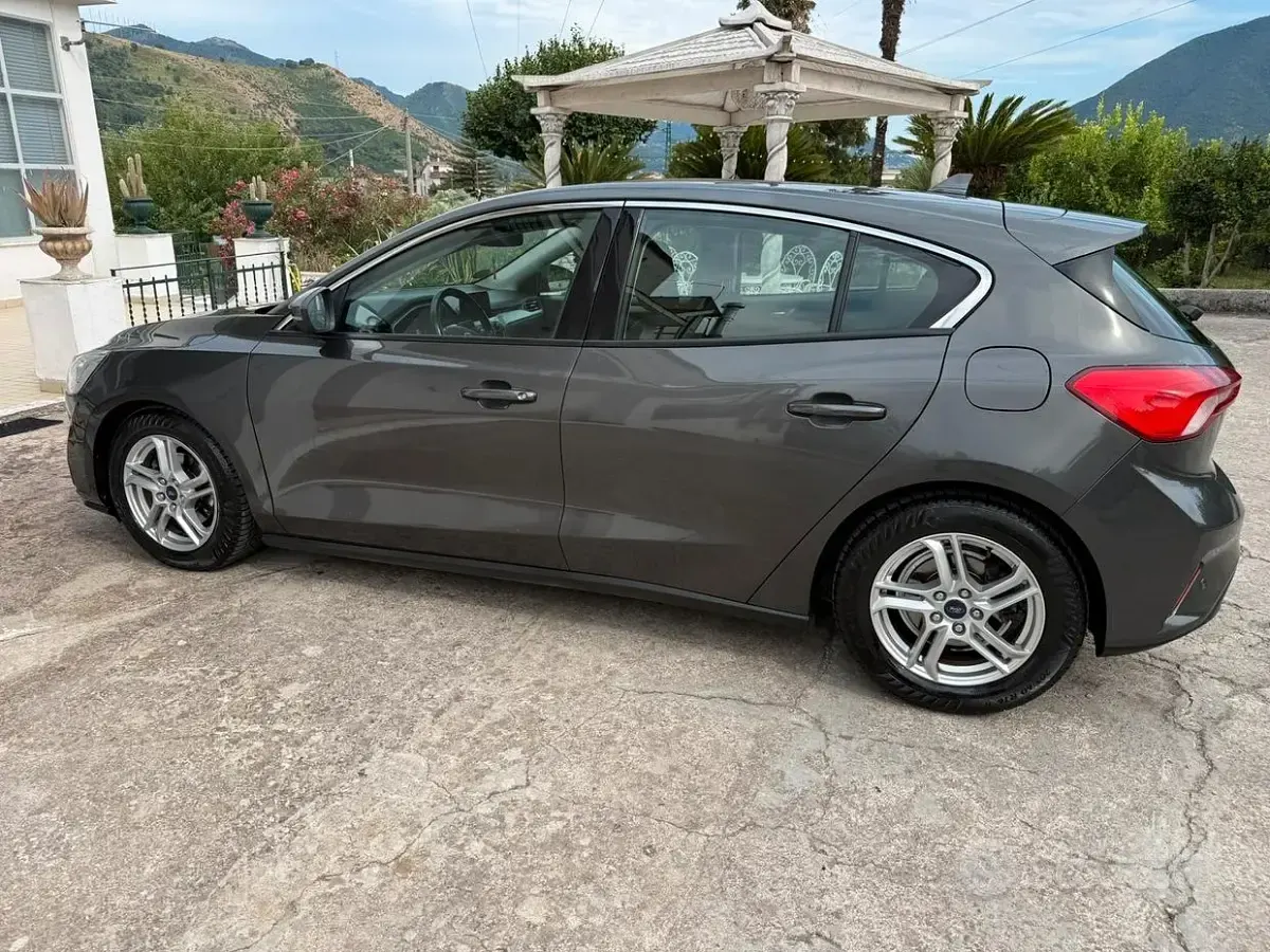 Usata Ford Focus 95 CV (69 kW) 2019 Grigio Berlina