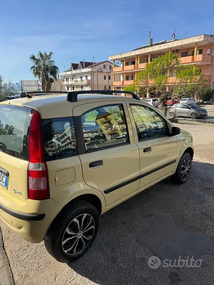 Usata Fiat Panda Dynamic 52 CV (38 kW) 2007 Giallo Utilitaria