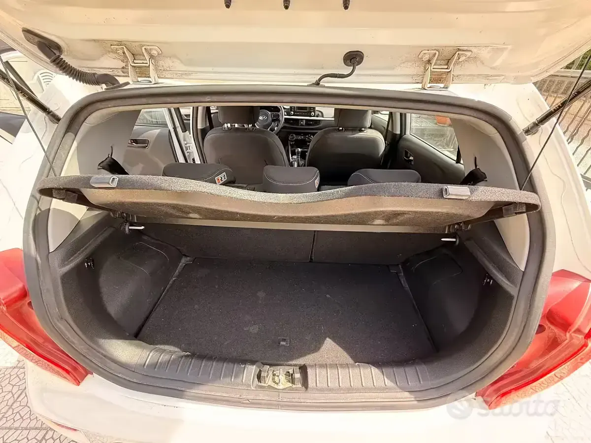 Usata Kia Picanto 67 CV (49 kW) 2017 Bianco Utilitaria